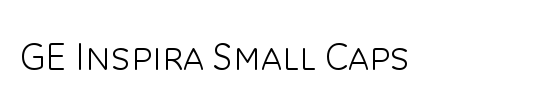 GE Inspira Small Caps