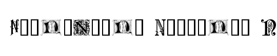 Ornamental Initials N