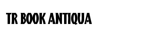TR Book Antiqua